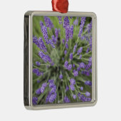 Lavendel-Pflanze Silbernes Ornament (Rechts)