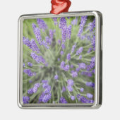 Lavendel-Pflanze Silbernes Ornament (Links)