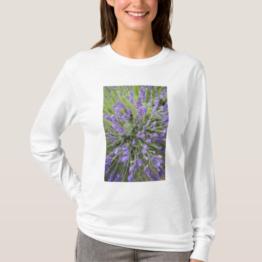 Lavendel-Pflanze T-Shirt (Vorderseite)