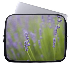 Lavendel Pflanzen 2 Laptopschutzhülle