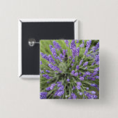 Lavendel-Pflanzen Button (Vorne & Hinten)