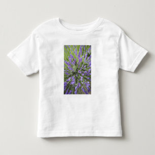 Lavendel-Pflanzen Kleinkind T-shirt