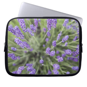 Lavendel-Pflanzen Laptopschutzhülle