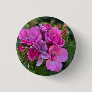 Lavendel Pink Rose Button
