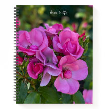 Lavendel Pink Rose Hardcover