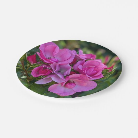 Lavendel Pink Rose Pappteller (Schrägansicht)