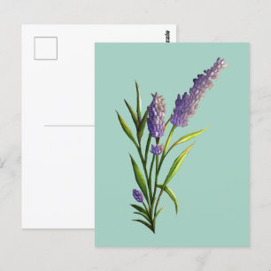 Lavendel Postcard Postkarte