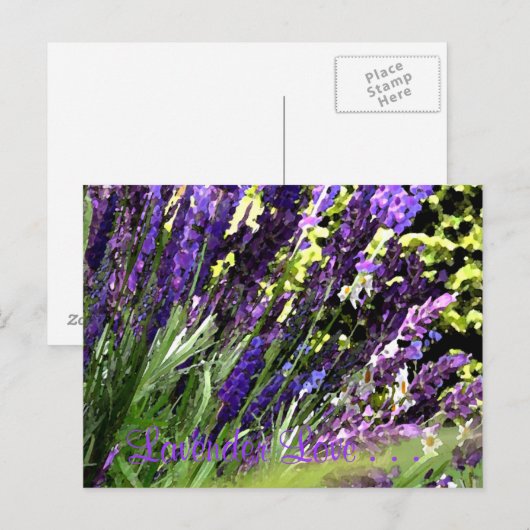Lavendel Postcard Postkarte (Vorne/Hinten)