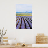 Lavendel Poster (Küche)