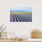 Lavendel Poster (Küche)