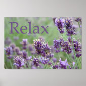 Lavendel Poster (Vorne)