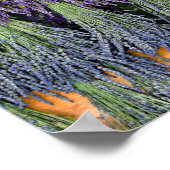 Lavendel Poster (Ecke)