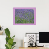 Lavendel Poster (Heimbüro)