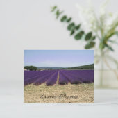 Lavendel Postkarte (Stehend Vorderseite)