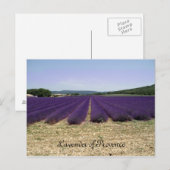 Lavendel Postkarte (Vorne/Hinten)