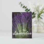 Lavendel Postkarte (Stehend Vorderseite)
