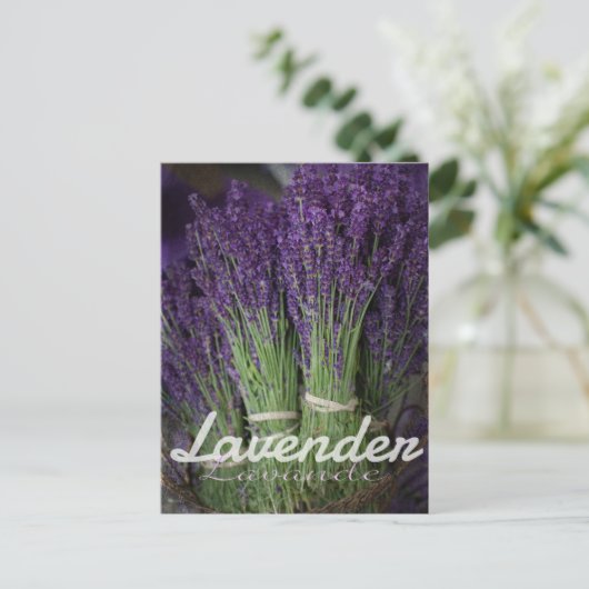 Lavendel Postkarte (Stehend Vorderseite)