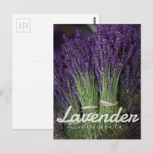Lavendel Postkarte (Vorne/Hinten)