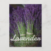 Lavendel Postkarte (Vorderseite)