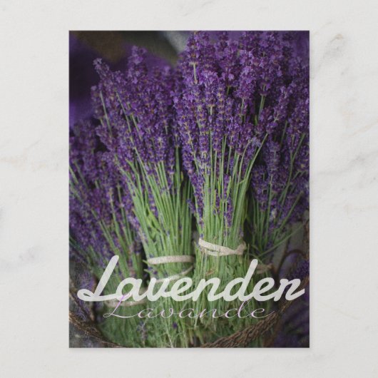 Lavendel Postkarte (Vorderseite)
