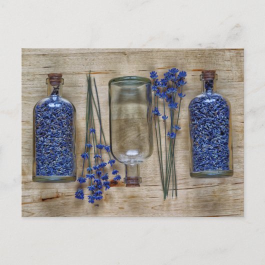 Lavendel Postkarte (Vorderseite)