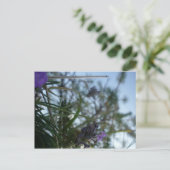 Lavendel Postkarte (Stehend Vorderseite)