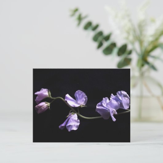 Lavendel Postkarte (Stehend Vorderseite)