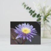 Lavendel Postkarte (Stehend Vorderseite)