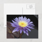 Lavendel Postkarte (Vorne/Hinten)