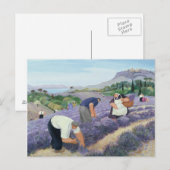 Lavendel Postkarte (Vorne/Hinten)