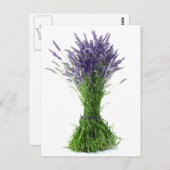 Lavendel Postkarte (Vorne/Hinten)