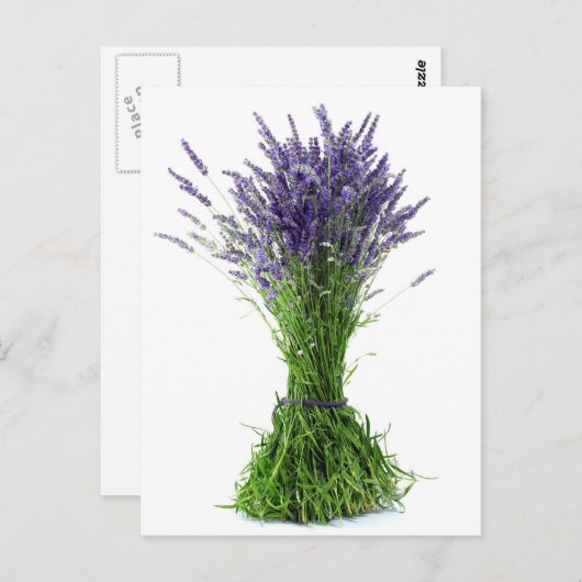 Lavendel Postkarte (Vorne/Hinten)