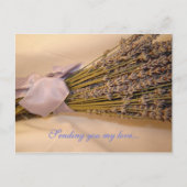 Lavendel Postkarte (Vorderseite)