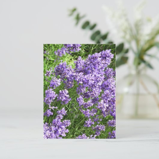 Lavendel Postkarte (Stehend Vorderseite)