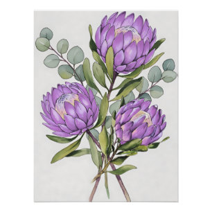 Lavendel-Protea-Botanik-Aquarell Poster