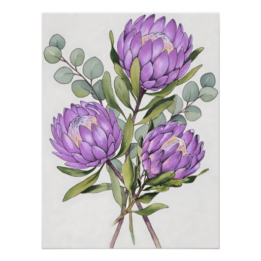 Lavendel-Protea-Botanik-Aquarell Poster (Vorderseite)