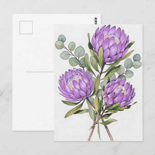 Lavendel-Protea-Botanik-Aquarell Postkarte (Vorne/Hinten)