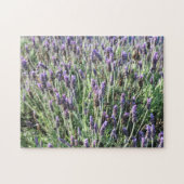 Lavendel Puzzle (Horizontal)