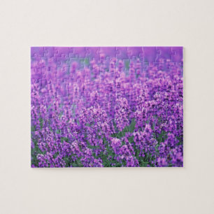 Lavendel Puzzle
