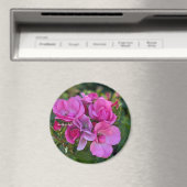 Lavendel Rosa Rose Magnet (In Situ (Geschirrspüler))