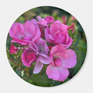 Lavendel Rosa Rose Magnet