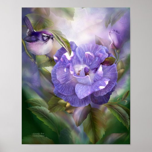 Lavendel Rose Fine Art Poster/Print Poster (Vorne)