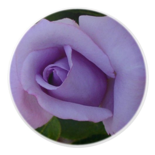 Lavendel-Rose Keramikknauf (Vorderseite)