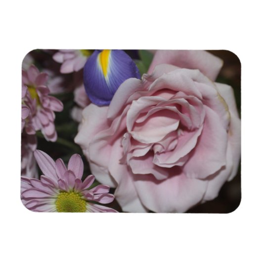 Lavendel-Rose Magnet (Horizontal)