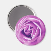 Lavendel-Rose Magnet (Vorderseite/Rückseite)