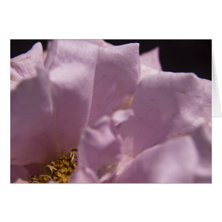 Lavendel Rose Petals Card