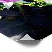 Lavendel-Rose Poster (Ecke)