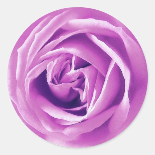Lavendel-Rose Runder Aufkleber (Vorderseite)