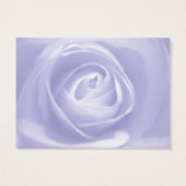 Lavendel-Rose, Save the Date (Rückseite)