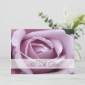 Lavendel Rose Save the Date (Stehend Vorderseite)